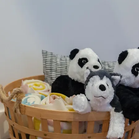 Apartament Centre Penthouse